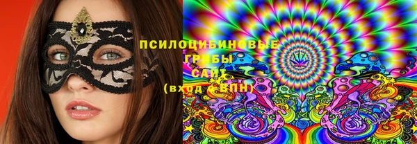 бошки Медногорск