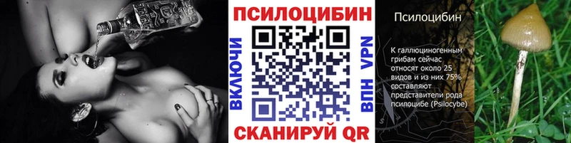 Псилоцибиновые грибы GOLDEN TEACHER  Фёдоровский 